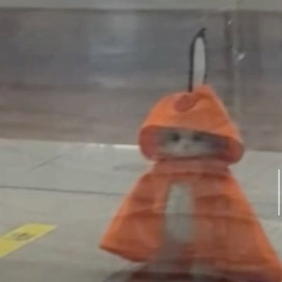 jarujarusk13's profile picture. ผู้ตกหลุมรักแมวจรและบังเอิญอ่านหนังสือ | he/him