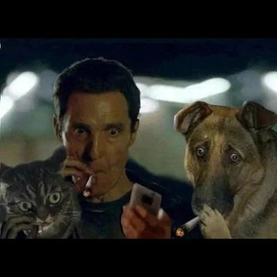 pfauenaugen's profile picture. Multifaceted! I'm in for information and dark humour, to get along with the information.