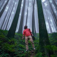 Imran Hossain (@imranwaves) 's Twitter Profile Photo