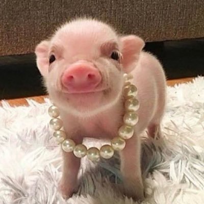 reading_e_book's profile picture. 