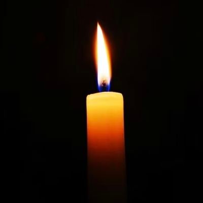 Plagiarised_'s profile picture. Husband|Father|God's Child| 

Potestas est pro Populo. Andrà tutto bene