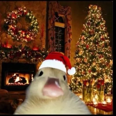 huskyyjelly's profile picture. 18 |powered by @GLYTCHEnergy|@Gamer_sleeve|@Klutchone|@snacks4Gamers use Code huskyy| k9 business soon 2027 Of Jan | @UhCougarFB 8-3