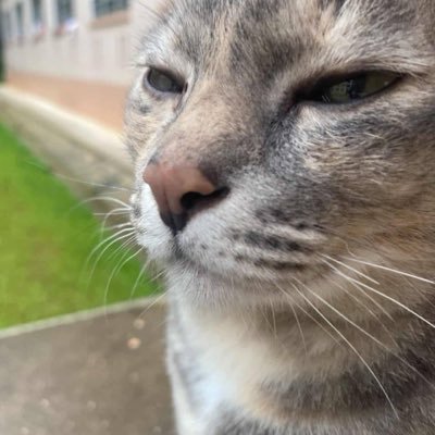 jengodep's profile picture. 