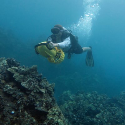 jimbomaui's profile picture. 