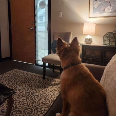 bubbleslut_27's profile picture. Professional and ready for work book an appointment now for unforgettable experience.