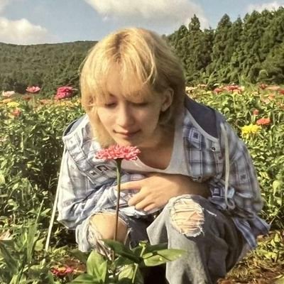mintyscoups's profile picture. | an-wi |🍉 444 • 어떤 미레 • 글쎄 • 98 she/her • 🪽🍒🐶🍚🐯 • sukyo • reo chocho •  woowoo • 冬のはなし
