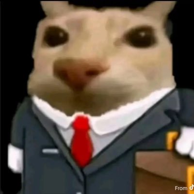 lawyurr's profile picture. it depends.