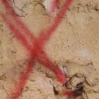 MAlawite94854's profile picture. 