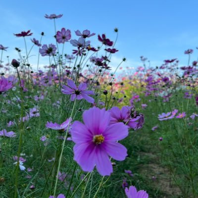 kazu_smrj_728's profile picture. 