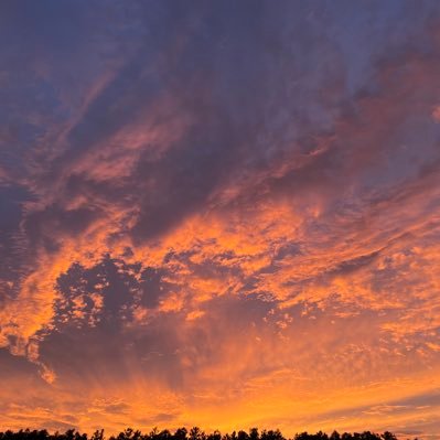 orudisuta68256's profile picture. 北海道でバイク乗って楽しんでる傍ら、街のライフスタイリストとしてお仕事してます。便利屋さんですね😁除草、伐採、剪定、解体、ハウスクリーニングなどなど。お困りことがあればご連絡下さい、道南全域カバーしてます。