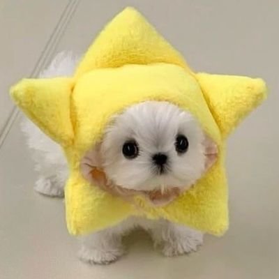 izxnkn's profile picture. 🥩 𝓗𝓪𝓷𝓷𝓲𝓫𝓪𝓵 🍄𝐀𝐫𝐦𝐲 𝐎𝐓𝟕 🪐𝐉𝐢𝐦𝐢𝐧 𝐁𝐢𝐚𝐬

༒︎ First hater of toxic Army shippers.
Fuck the crazy bitches who are anti-shippers and only stans