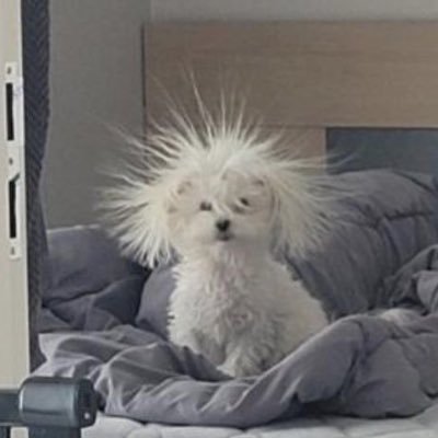 98th__'s profile picture. ⋆˙⟡ ถ้าพูดตอนนี้อาจจะพูดไม่ได้ รัก รักมาก ๆ ครับ ⋆˚𖥔 ݁ ˖𓂃.☘︎ ݁˖ 🦖 PRX : 🧩PERSES :: 𝘀𝘂𝗽𝗽𝗼𝗿𝘁 𝗗𝗠𝗗 𝗯𝗼𝘆𝘀