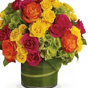 Rockone96014256's profile picture. AI level deep analysis