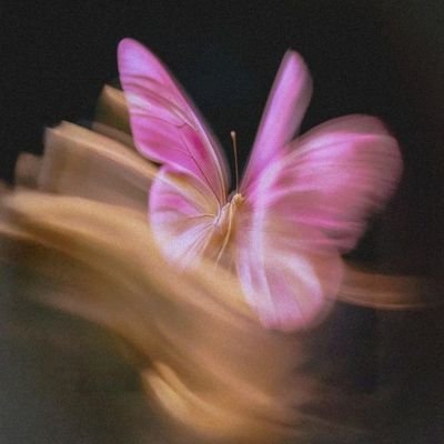 831laa's profile picture. 