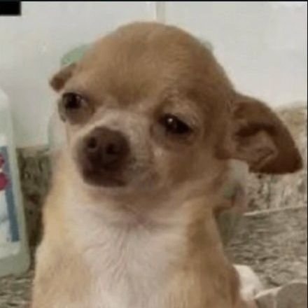 Dawn_GAK's profile picture. God, forex, energy, vibes, grace, God.