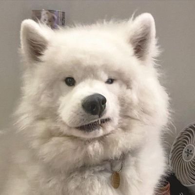 jariyateaw's profile picture. 