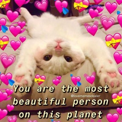 iferfernnnnnn_'s profile picture. ♡︎ win:d | doyoung jungwoo ten jisung | kengharit nampingster d6 ปล.อยากเป็นคนถูกหวยทุกครั้งที่เล่นพลีสๆ