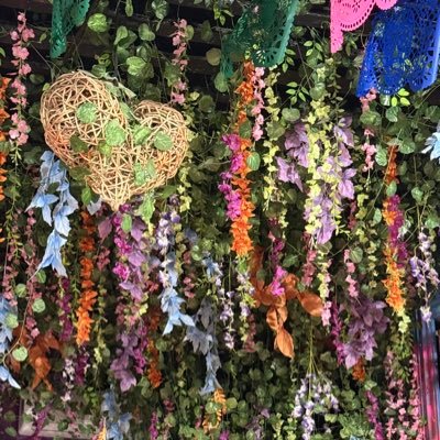 stefybeautiful's profile picture. 🍁🍂