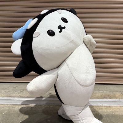 pighead5555's profile picture. SG🇸🇬 Supportive mami of Emibonnie and grandma of Any and Polcasan.