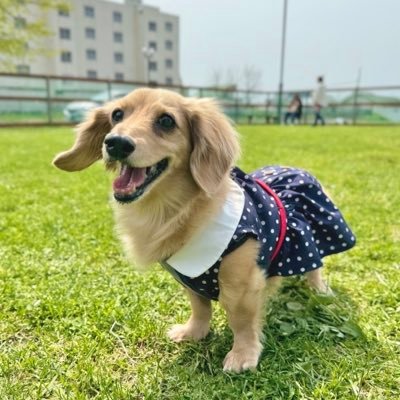 M0233m0813's profile picture. 競馬好き