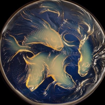 ilsli0's profile picture. FinTecher🏅