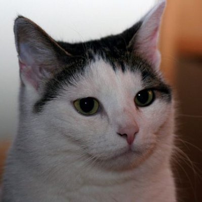 krxd95's profile picture. unvaxxed