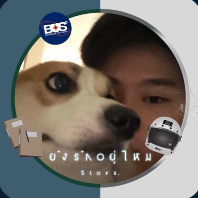 onesixfivever3's profile picture. (@thaichayanon)🌟 (@NxNattakit)🥚(@jungyippy)🌱(@CHEESEchayapol)🧀(@alexbucklandd)🦊