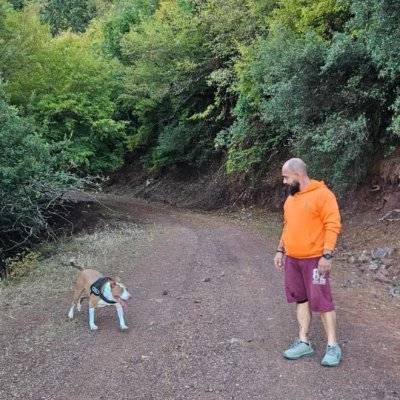 Konstan0491487's profile picture. ....