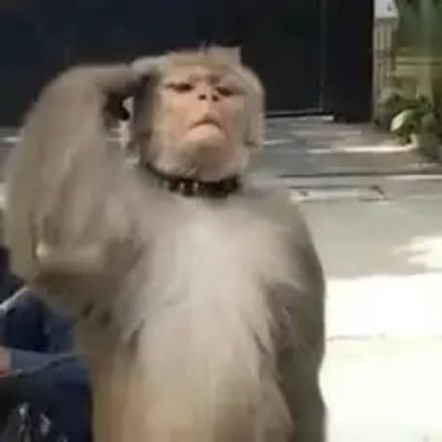 BnbMalou_CTO's profile picture. 马喽MaLou 🐒0x23D6645c66eBb25A68AA2862357eac378a274444 马喽的命也是命，像极了我的一生，弱小可怜又无助。发誓要改变自己的命运，让自己不再做马喽。 ❤️❤️❤️