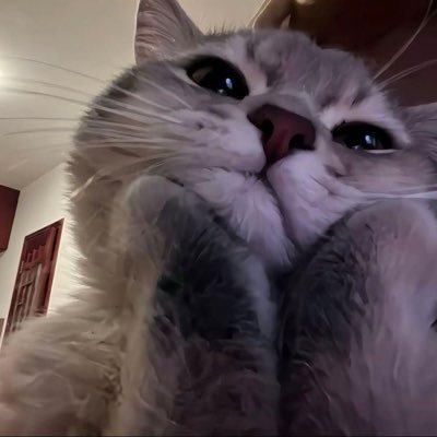 Pong_PLLI's profile picture. 플레이브에 퐁당😍플평플만💙💜💗❤️🖤