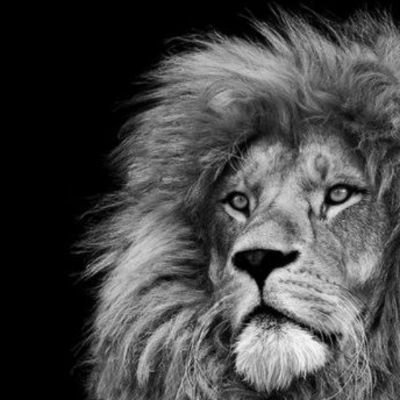 RManuelPerez's profile picture. #bist100 #bist30 #endeks