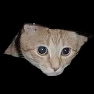 BadKittyEditing's profile picture. Celing Cat is watching you Masturbate!