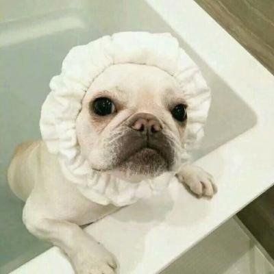 igormatheusuk2's profile picture. 