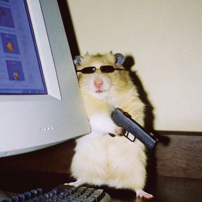 silencio_k9's profile picture. 