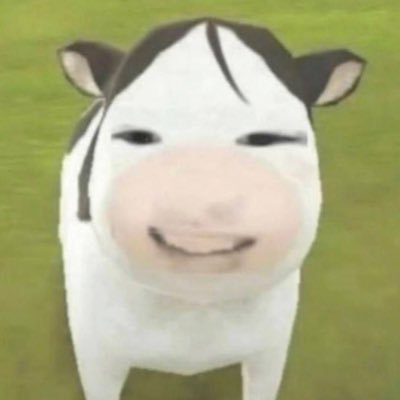 xnx_noi's profile picture. 