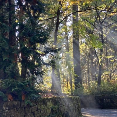 matsuneko25's profile picture. コロナ中心にいろいろ。政党は政策完全一致するところがなく、いまは左派寄り無党派かも。いいねは同意、リツイはみんなにも見て欲しいものと、これどう思う？の二種類。かなり偏って人を選ぶツイートが多いので、フォローは慎重にお願いします。