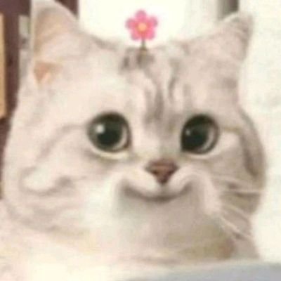 galupgup's profile picture. ❛🦆 @harit_keng @nampingnapat 🐰❜  @Baabel_ARP 🐏🤍✨