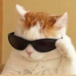 ThousifAhmedC7's profile picture. Fan Account