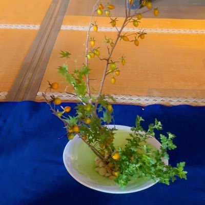 hochan87's profile picture. 