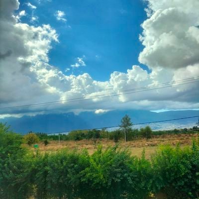 MehmetAkgu83783's profile picture. 