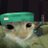 touchsumgrassel's profile image