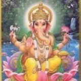 Adrialison01's profile picture. coffee can trader || my brokerage is more then your loss || buy high, sell higher 🏃‍♂️