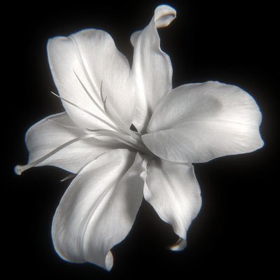 nozomxi's profile picture. #니키 #연준