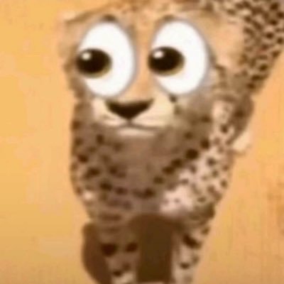 aglchiba's profile picture. empuh