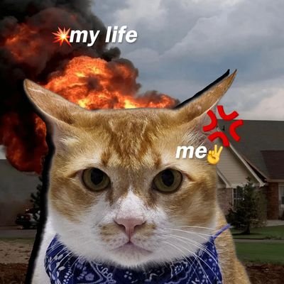 LunarShinee's profile picture. I am a girl, just a simple girl in this world...