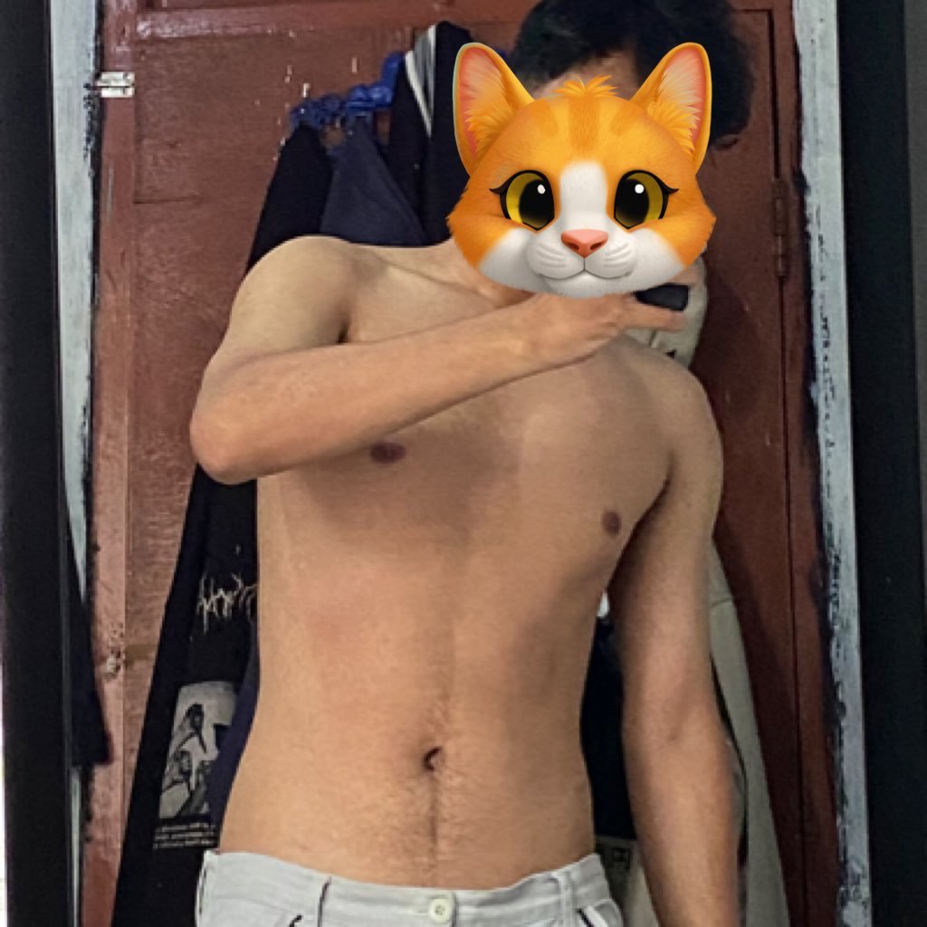 MixueD9's profile picture. 