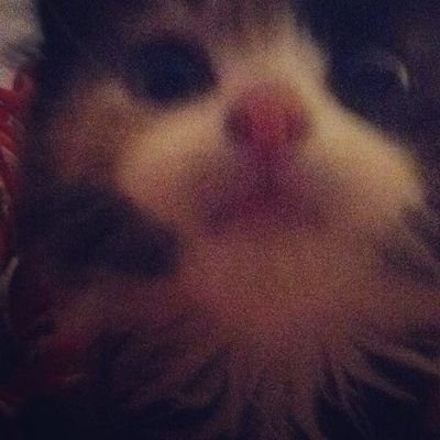 little_prety34's profile picture. gueh pacar jisung