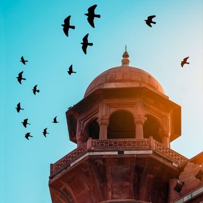 _Yousuf_Danish_'s profile picture. Student,

curiouser & curiouser