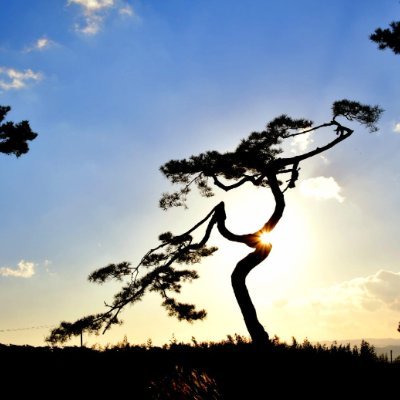 Deockhowan87983's profile picture. 