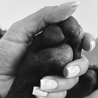 pe5rry5's profile picture. 🐶Find joy in my ƙinky.... thrilling contents.1 tap👇on my link and your right where you outh to💦❤️
explore my amazing menu for more fun.